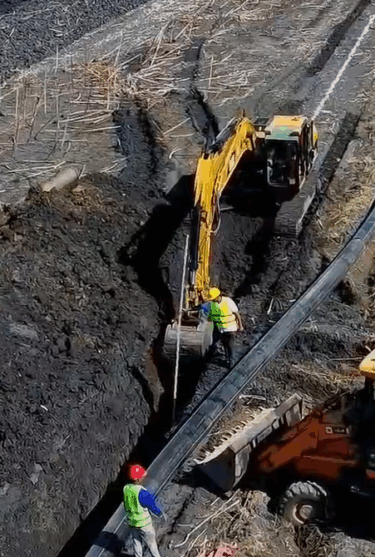 M35DAM2022 M35DAM2022