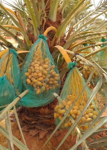 IMG-20240903-WA0016 IMG-20240903-WA0016