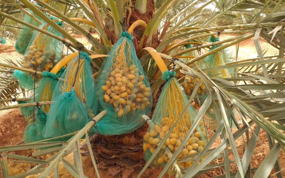 IMG-20240903-WA0016 IMG-20240903-WA0016