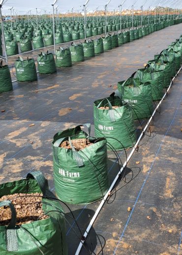 IMG-20250530-WA0022 IMG-20250530-WA0022