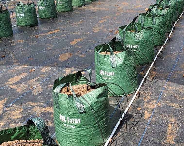 IMG-20250530-WA0022 IMG-20250530-WA0022